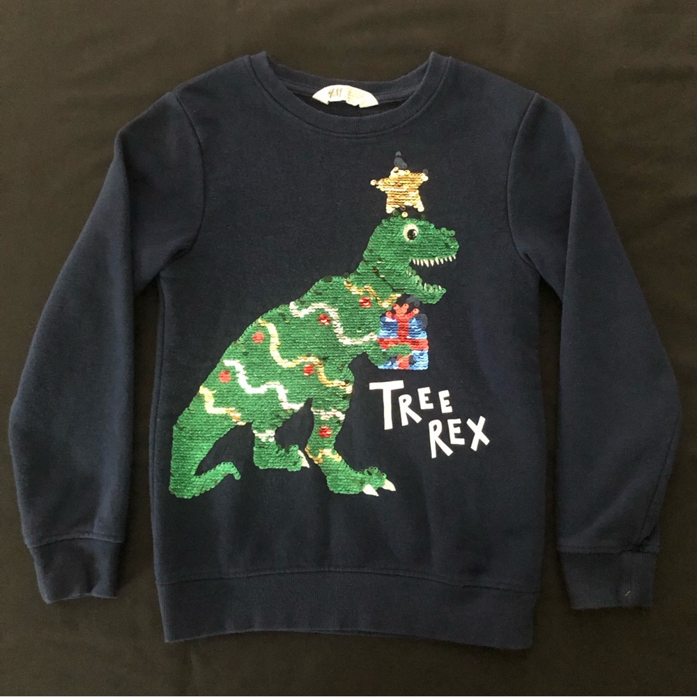 H&M Tree Rex Christmas Sweatshirt size 6-8